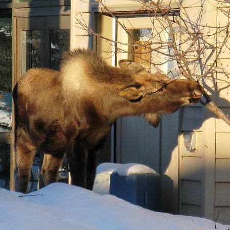 Susitna Place B&B Anchorage Eksteriør bilde